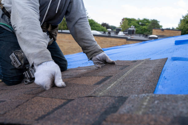 Best Emergency Roof Repair  in Shelton, WA